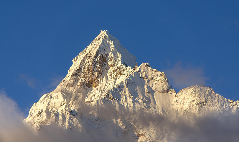 中国首个！新奈发布“智能呼吸工程体系”，破解家用呼吸设备长期安全难题